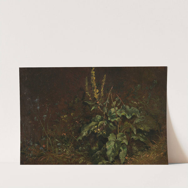 Stauden (Königskerzen und Gräser) (1845-1850) by Carl Spitzweg