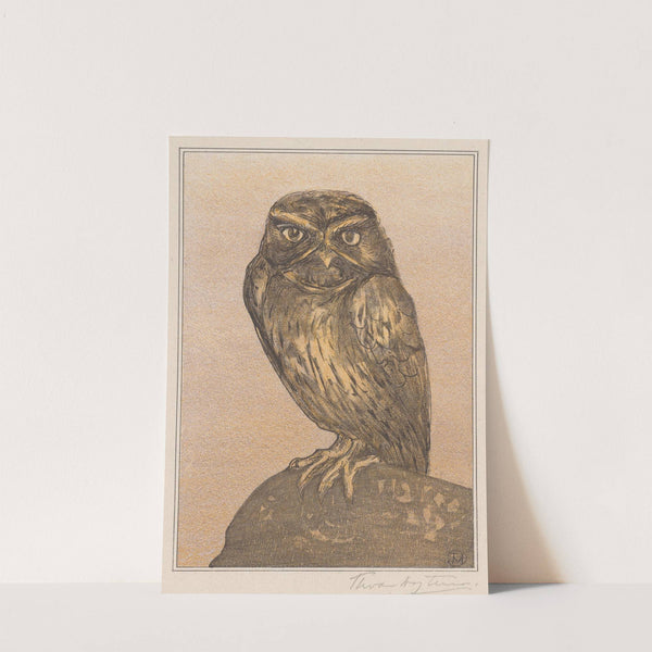 Steenuil op rots by Theo van Hoytema