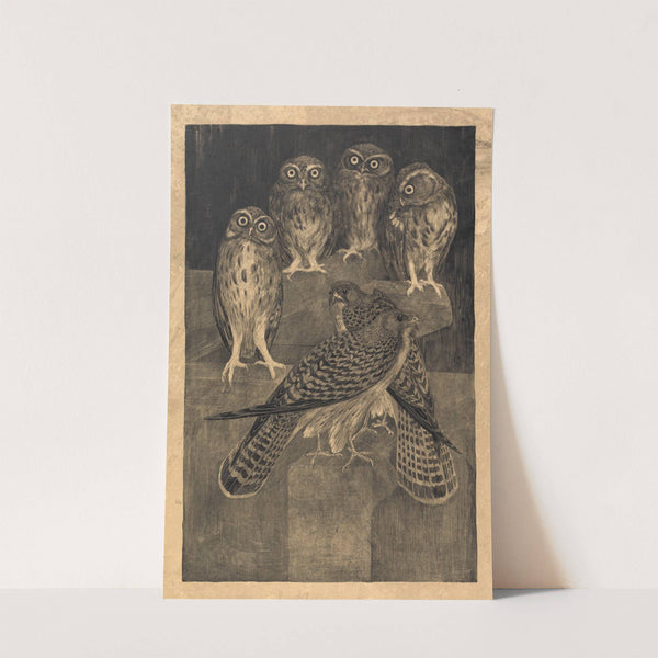 Steenuilen en torenvalken by Theo van Hoytema