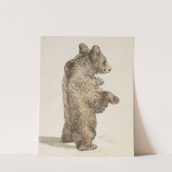 Stehender Bär by Gottfried Mind