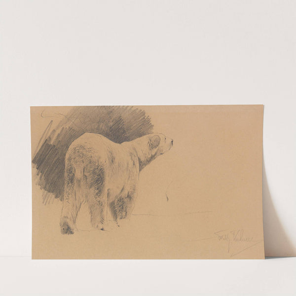 Stehender Eisbär (Ca. 1909) by Wilhelm Kuhnert