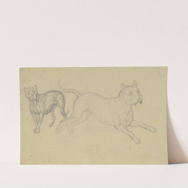 Stehender und nach rechts springender Hund by Ferdinand Fellner