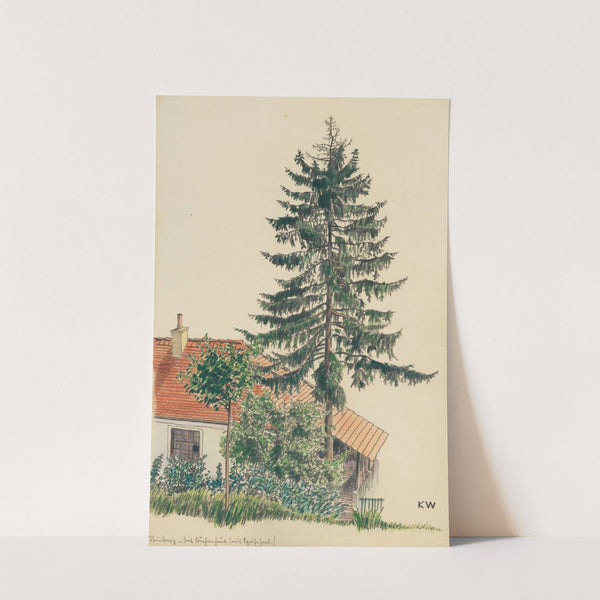 Steinberg by Karl Wiener