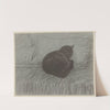 Steinlen. Chats et autres Bêtes. by Théophile Alexandre Steinlen
