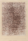 Steinwüste (Stone Desert)