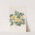 Stemless Globeflower by Sydenham Edwards