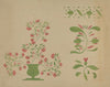 Stencil Wall Decoration