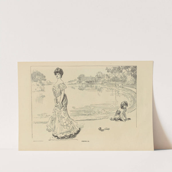 Stepped on (1900-1905) by Charles Dana Gibson