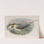 Stercorarius longicaudus. Long-tailed Skua. (1862-1873) by John Gould