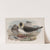 Stercorarius pomatorhinus. Pomatorhine Skua. (1862-1873) by John Gould