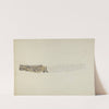 Stern Piece from Henrietta Francis by American 20th Century