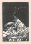 Sterrenbeeld kreeft (1880 - 1946)