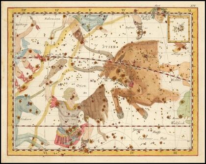 Stier (1805)