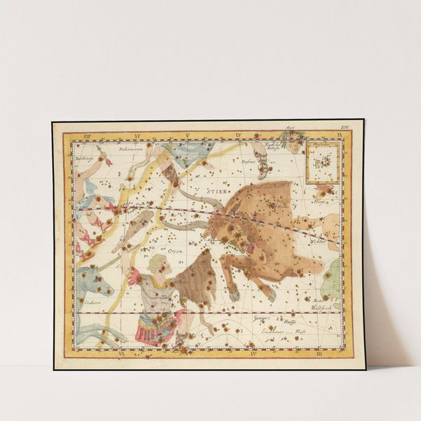 Stier (1805) by Johann Elert Bode