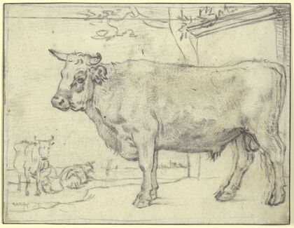 Stier nach links, hinten zwei Kühe und eine Melkerin