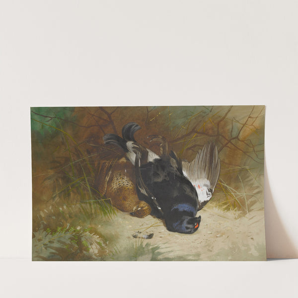 Still Life Of A Pair Of Blackgame (1896) by Archibald Thorburn