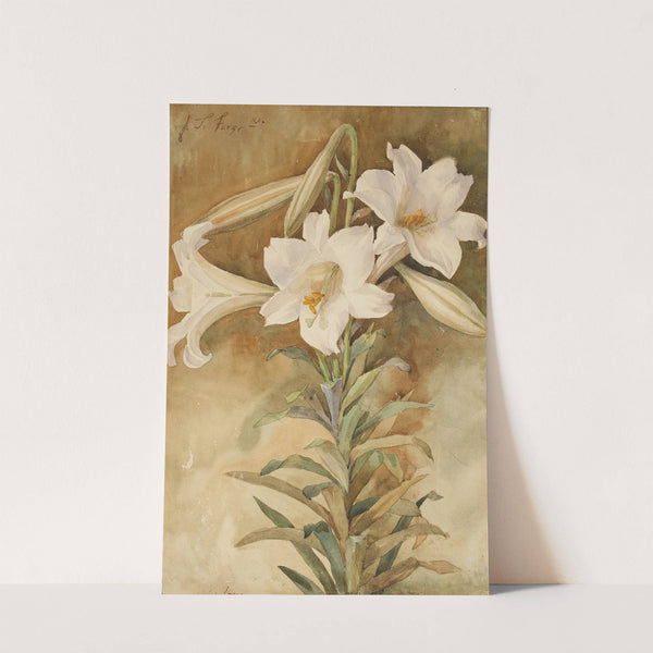 Still Life of Easter Lilies by John La Farge