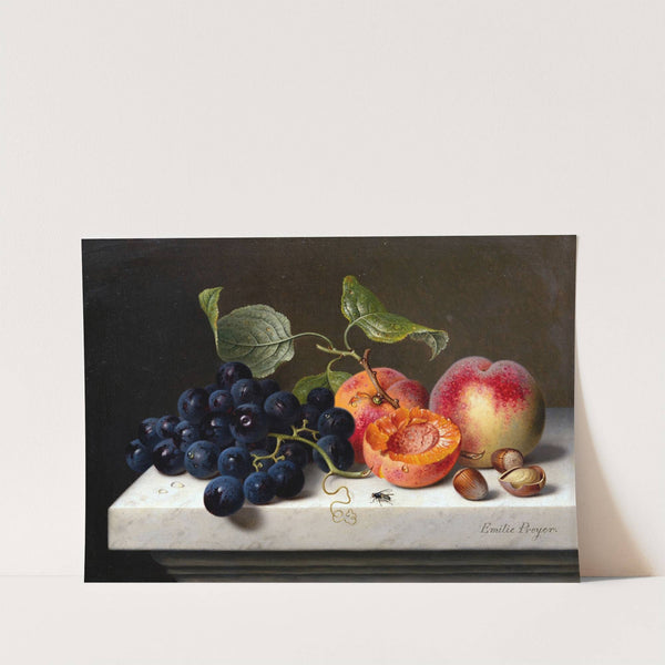 Still Life of Fruits with Grapes, Peaches and Nuts on a Marble Pedestal (1867) by Emilie Preyer