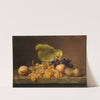 Still Life With Grapes (1849) by Johann Wilhelm Preyer