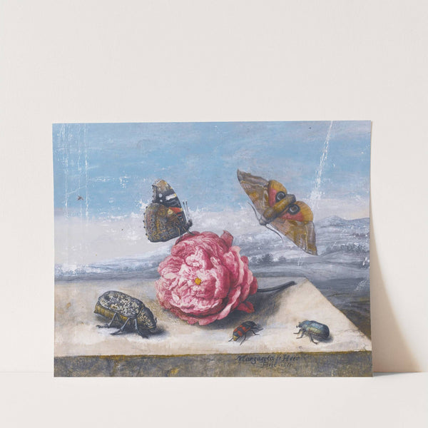 Still Life With Insects Around A Rose On A Stone Ledge by Margareta de Heer