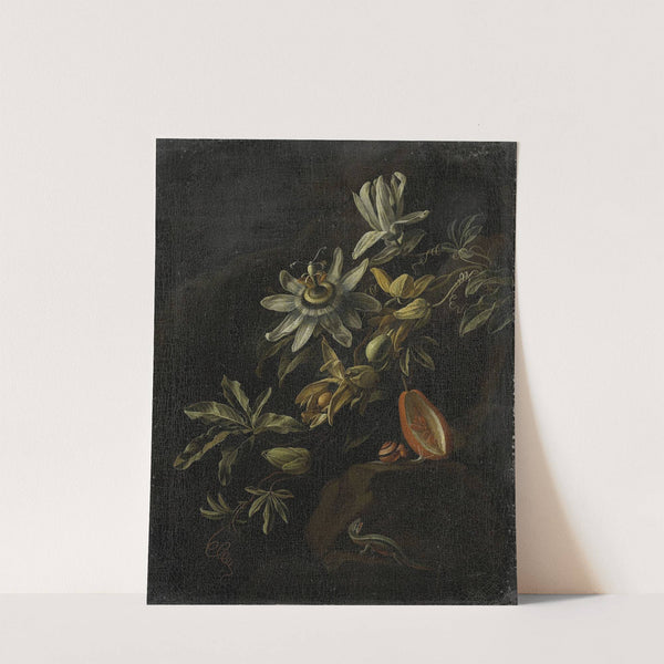 Still Life with Passionflowers by Elias van den Broeck