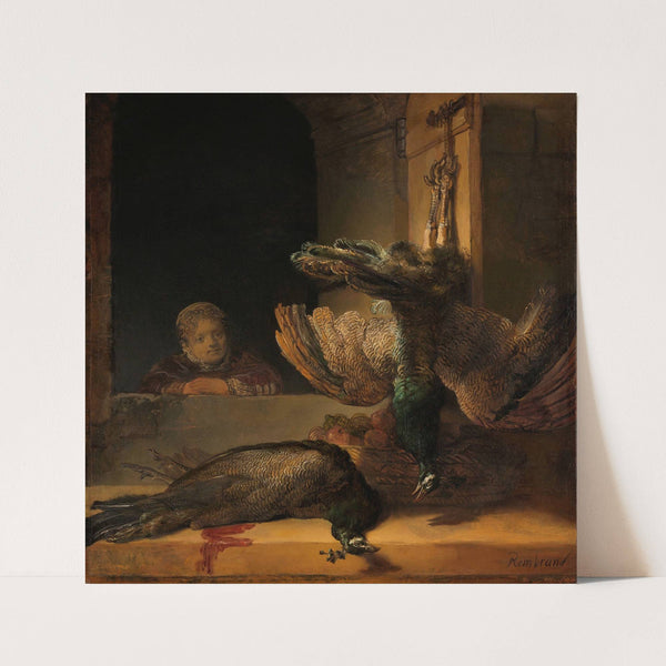 Still Life with Peacocks (c. 1639) by Rembrandt van Rijn