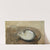 Still Life with Shell, Water Glass and Spoon (1869) by Louis Eysen