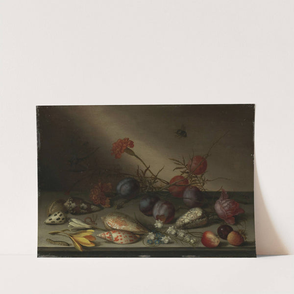 Still Life with Shells, Fruit, and Flowers (ca. 1630–40) by Balthasar van der Ast