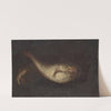Still Life with Two fishes by Domenico Grosso
