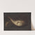 Still Life with Two fishes by Domenico Grosso