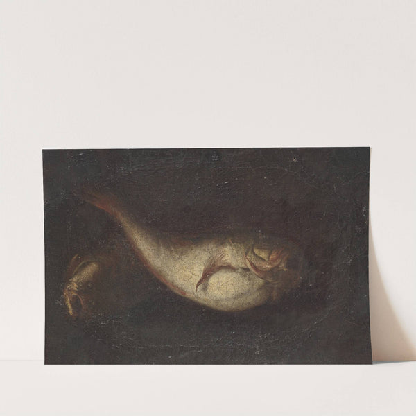 Still Life with Two fishes by Domenico Grosso