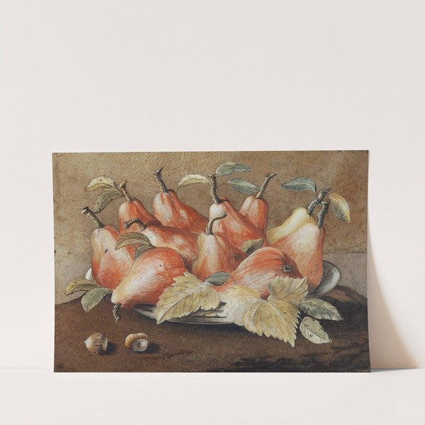 Stilleben Mit Birnen Und Haselnüssen by Giovanna Garzoni