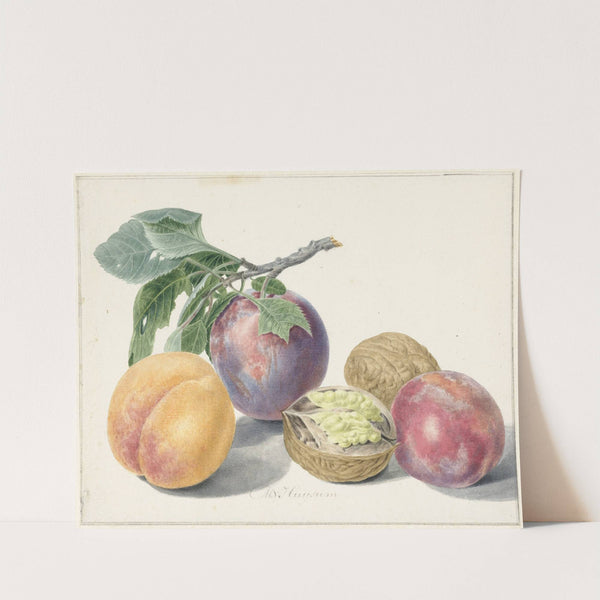 Stilleven met vruchten by Michiel van Huysum