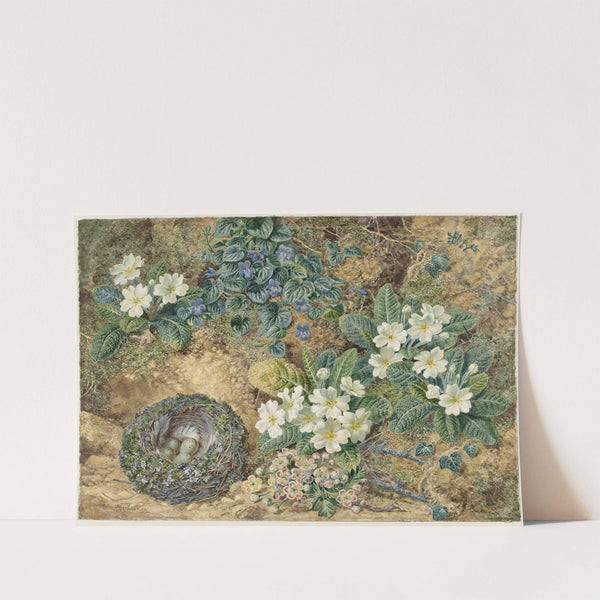 Stilleven van een vogelnestje, viooltjes, primula's en appelbloesem by Thomas Frederick Collier