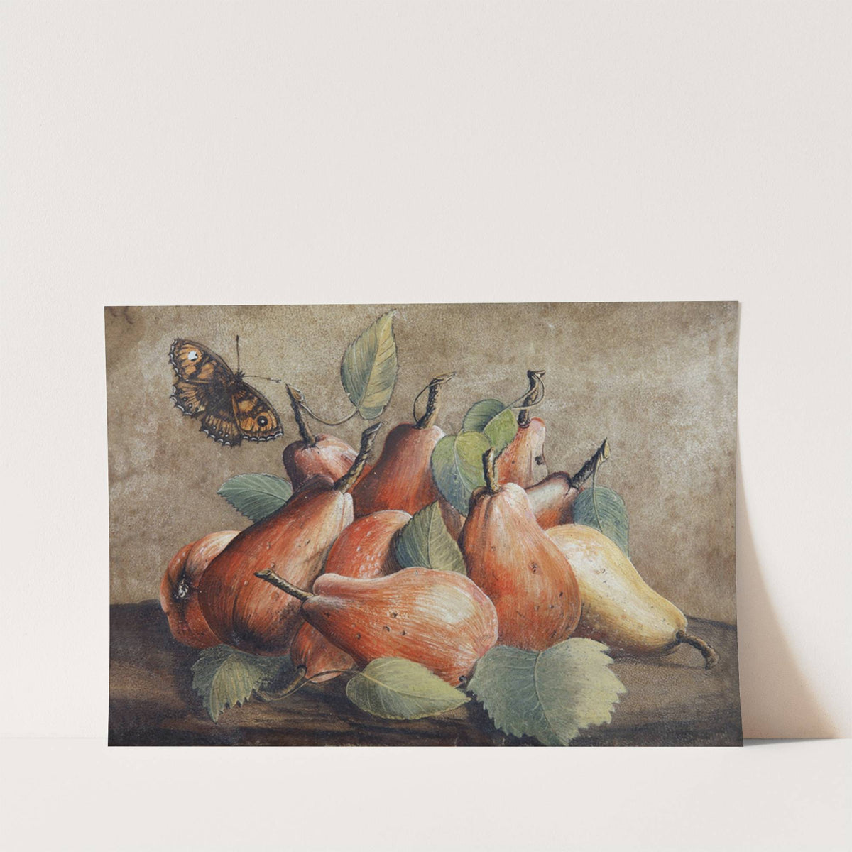 Stillleben Mit Birnen Und Einem Schmetterling by Giovanna Garzoni