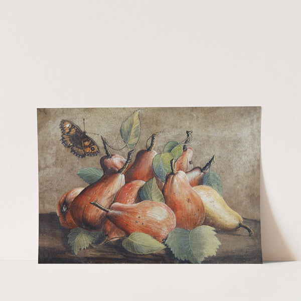 Stillleben Mit Birnen Und Einem Schmetterling by Giovanna Garzoni