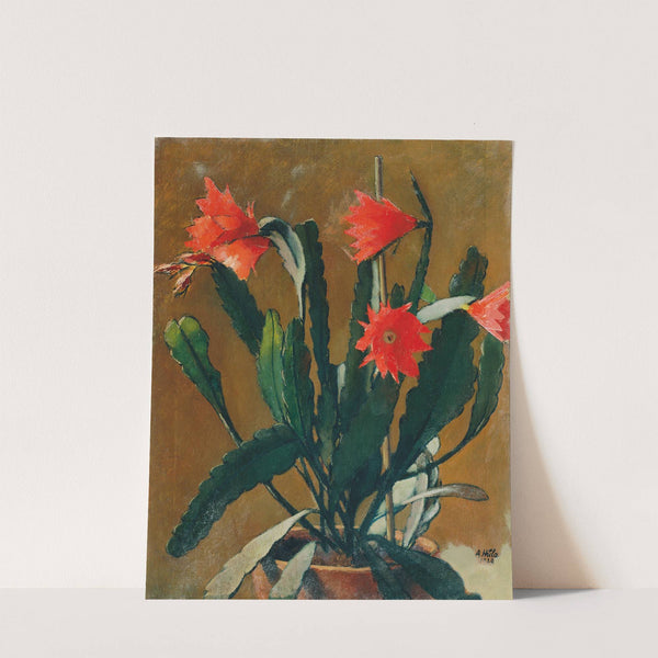 Stillleben Mit Blühendem Kaktus by Anton Hula