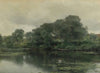 Stillness on a lily pond