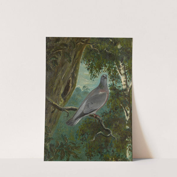 Stock Dove (1879) by Bruno Liljefors