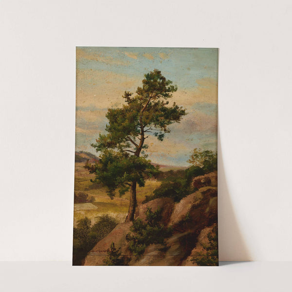 Stone Pine by Henryk Grabiński