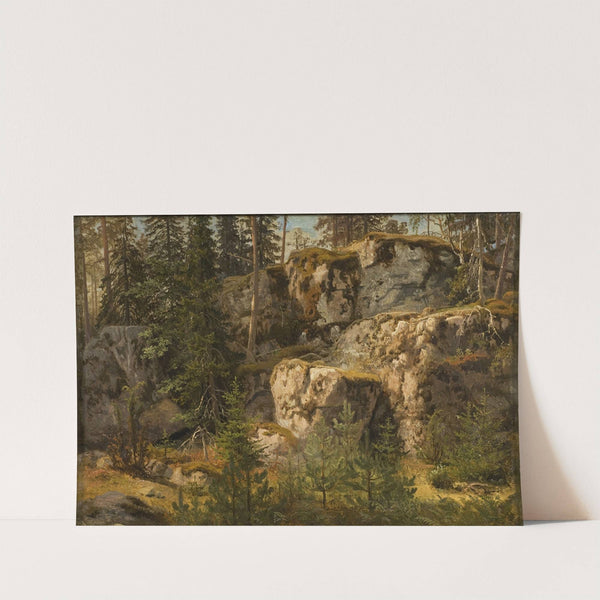 Stony Forest by Marcus Larson