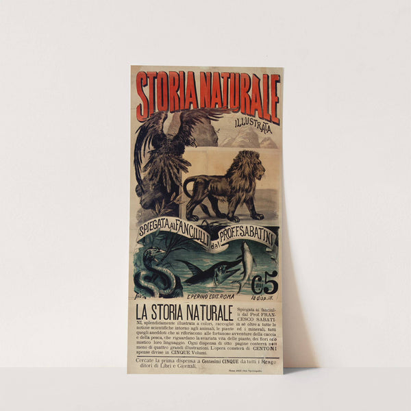 Storia naturale illustrata (1893) by Ottavio Rodella Tavio