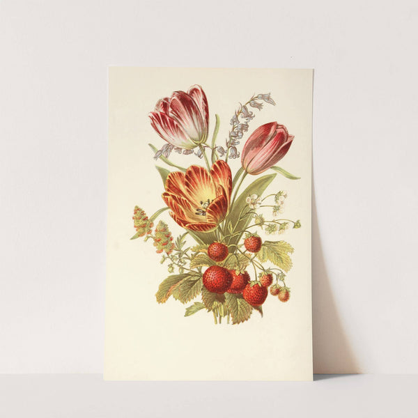 Strawberry, Mignonette, Blue Bell, Tulip by Robert Tyas