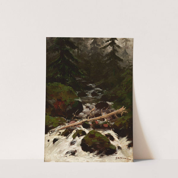 Stream in the Forest by Stanisław Witkiewicz