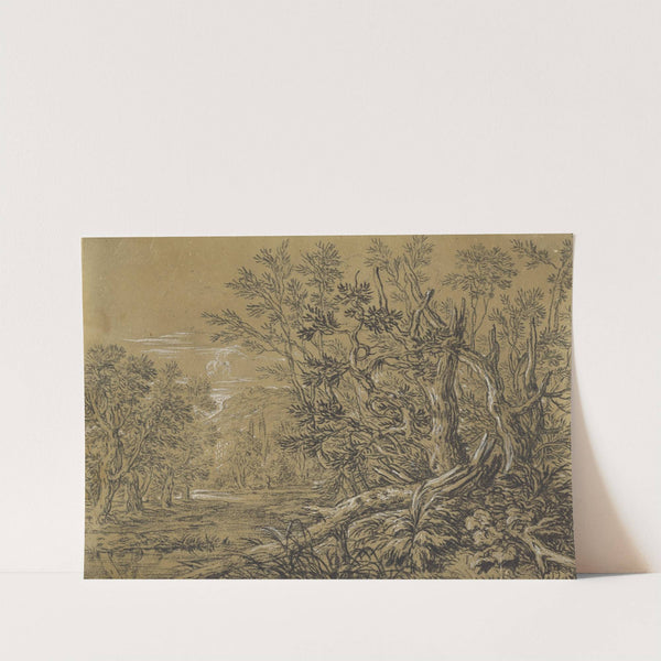 Stream through an Ancient Forest by Jonas Umbach