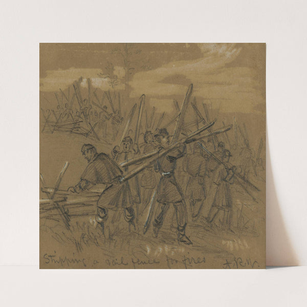Stripping a rail fence for fires (1860-1865) by Alfred Rudolph Waud