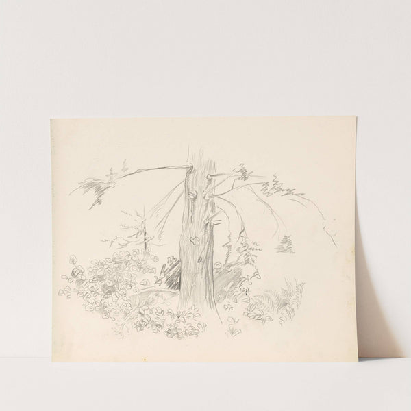 Strom by Ján Novák