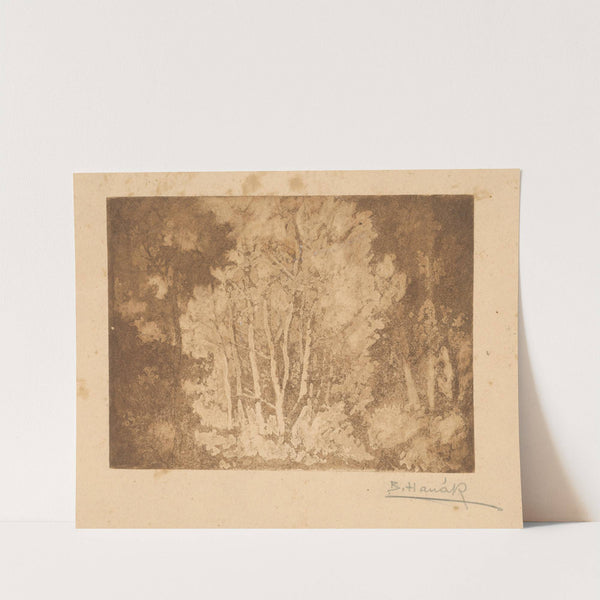 Stromy by Bohumil Hanák