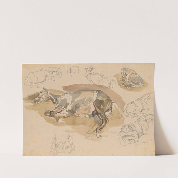 Studia i szkice leżącego konia by Piotr Michałowski