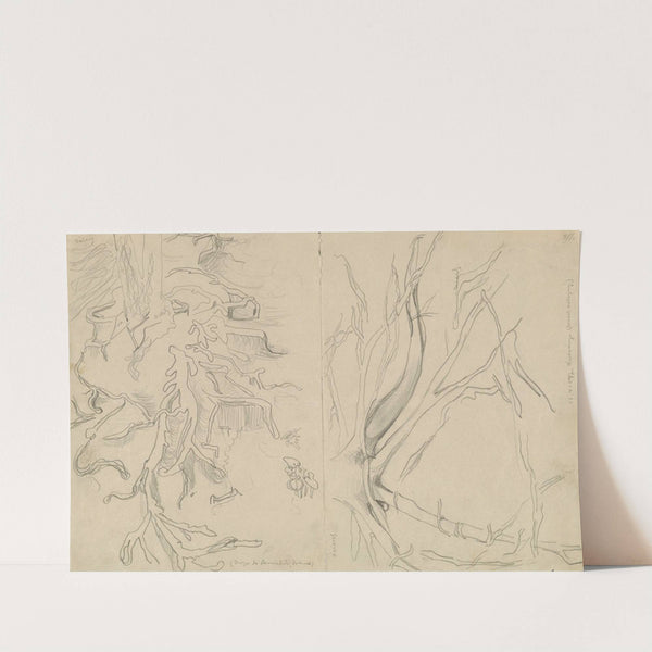 Studia korzeni drzew by Stanisław Wyspiański